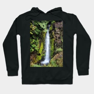 Lake Cushman Waterfall Hoodie